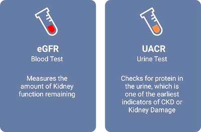 CKD screening